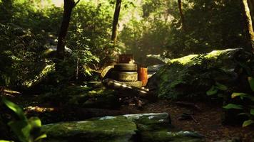 discarded car tires in the forest photo