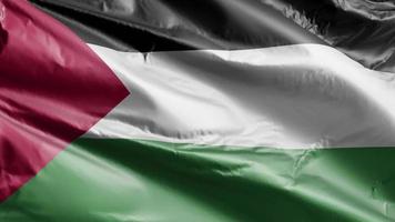 palestinska flaggan långsamt viftande på vindslingan. palestinsk banderoll mjukt vajande på vinden. full fyllning bakgrund. 20 sekunders loop. video