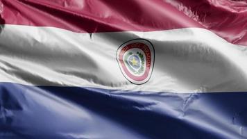 bandeira do paraguai acenando lentamente no loop de vento. bandeira paraguaia balançando suavemente na brisa. fundo de preenchimento completo. Ciclo de 20 segundos. video