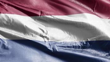 nederlandse textielvlag zwaaien op de windlus. Nederlandse banner zwaaiend op de wind. stof textiel weefsel. volledige vulling achtergrond. 10 seconden lus. video