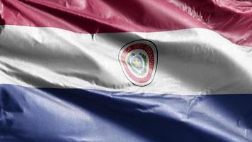 Paraguay textile flag slow waving on the wind loop. Paraguayan banner smoothly swaying on the breeze. Fabric textile tissue. Full filling background. 20 seconds loop. video