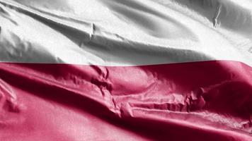 bandiera tessile della Polonia che sventola sul ciclo del vento. bandiera polacca che ondeggia sulla brezza. tessuto in tessuto. sfondo di riempimento completo. Ciclo di 10 secondi. video