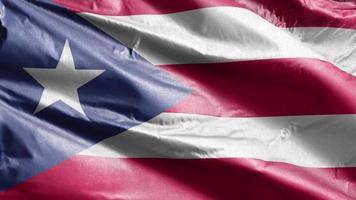 Puerto Rico textile flag slow waving on the wind loop. Puerto Rico banner smoothly swaying on the breeze. Fabric textile tissue. Full filling background. 20 seconds loop. video