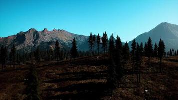 Landscape view of the mountain range with trees in the fall photo