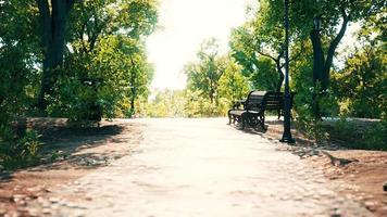 parque cerrado vacío como prevención de la enfermedad coronavirus covid-19 foto