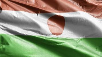 bandeira têxtil do niger acenando lentamente no loop de vento. bandeira do niger balançando suavemente na brisa. tecido tecido têxtil. fundo de preenchimento completo. Ciclo de 20 segundos. video