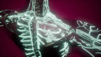 menschlicher körper mit leuchtenden blutgefäßen video