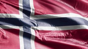 bandeira têxtil da noruega acenando no loop de vento. bandeira norueguesa balançando na brisa. tecido tecido têxtil. fundo de preenchimento completo. loop de 10 segundos. video