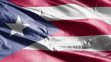 Puerto Rico textiel vlag zwaaien op de wind lus. Puerto Rico banner zwaaiend op de wind. stof textiel weefsel. volledige vulling achtergrond. 10 seconden lus. video