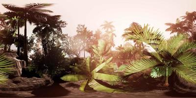caméra vr360 se déplaçant dans une forêt tropicale de la jungle tropicale video