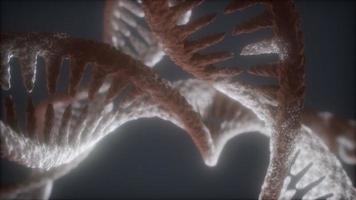 loop double helical structure of dna strand close-up animation photo