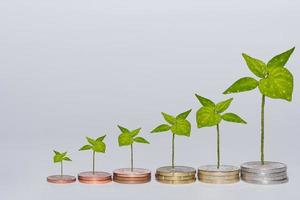 euro coins stacked in a row increasing in value with different green plants on gray background photo