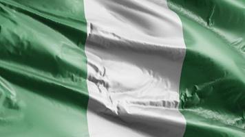 Nigeria-Flagge weht auf der Windschleife. Nigerianisches Banner, das im Wind schwankt. voll ausfüllender Hintergrund. 10 Sekunden Schleife. video