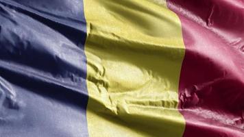 Romania textile flag waving on the wind loop. Romanian banner swaying on the breeze. Fabric textile tissue. Full filling background. 10 seconds loop. video