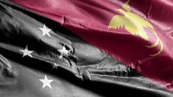 Papua Nya Guineas textilflagga vajar på vindslingan. Papua Nya Guinea banderoll vajande på vinden. tyg textilvävnad. full fyllning bakgrund. 10 sekunders loop. video
