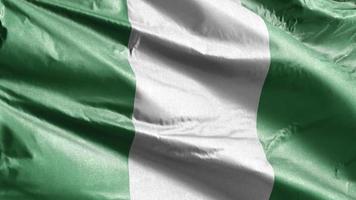 bandiera tessile nigeria che ondeggia lentamente sul ciclo del vento. bandiera nigeiana che ondeggia dolcemente sulla brezza. tessuto in tessuto. sfondo di riempimento completo. Ciclo di 20 secondi. video