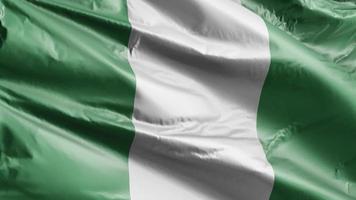 Nigeria flag slow waving on the wind loop. Nigeian banner smoothly swaying on the breeze. Full filling background. 20 seconds loop. video