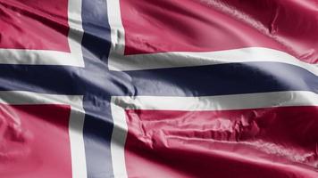 Noorwegen vlag zwaaien op de wind-lus. Noorse banner zwaaiend op de wind. volledige vulling achtergrond. 10 seconden lus. video