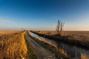 street and a waterway parallel with reed and sky photo