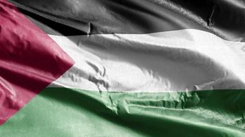 Palestina textiel vlag zwaaien op de wind lus. Palestijnse banner zwaaiend op de bries. stof textiel weefsel. volledige vulling achtergrond. 10 seconden lus. video