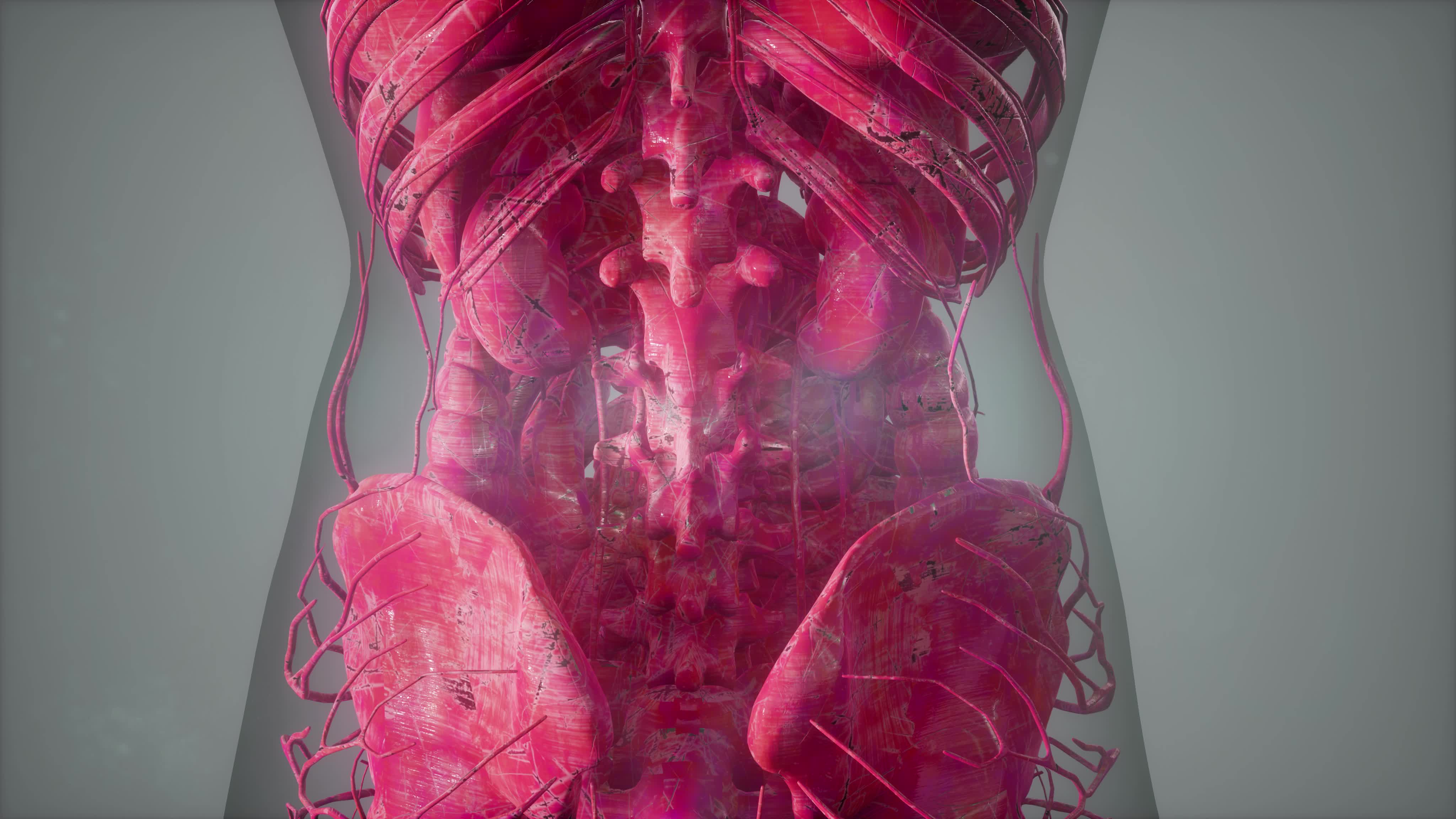 Anatomy Tomography Scan of Human Body 5602387 Stock Video at Vecteezy Biology Diagrams