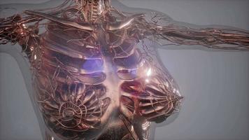 tomografía de anatomía del cuerpo humano video
