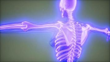 Transparent Human Body with Visible Bones video