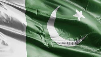 Pakistan flag waving on the wind loop. Palauan banner swaying on the breeze. Full filling background. 10 seconds loop. video