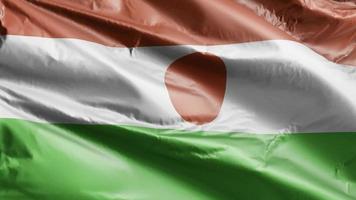 bandeira do niger acenando lentamente no loop de vento. bandeira do niger balançando suavemente na brisa. fundo de preenchimento completo. Ciclo de 20 segundos. video