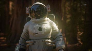 lonely Astronaut in dark forest photo