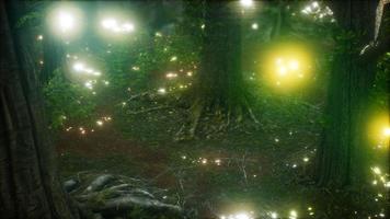 Firefly Flying in the Forest photo