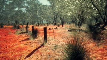 vieja valla de granja pequeña oxidada foto