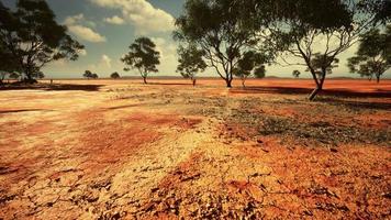 Dürre Land ohne Wasser video