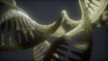 loop double helical structure of dna strand close-up animation photo