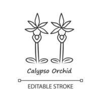 Calypso orchid linear icon. Thin line illustration. Exotic blooming flower. Fairy slipper with name. Calypso bulbosa inflorescence. Spring blossom. Vector isolated outline drawing. Editable stroke