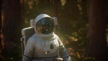 astronauta solitario en el bosque oscuro foto