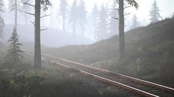 empty railway goes through foggy forest in morning photo