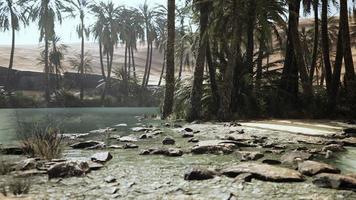 Panorama of Beautiful Oasis surrounded by sand dunes photo