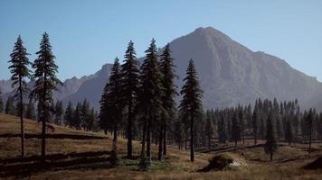 Rocky mountain range with trees photo