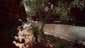 reflection in Colorado River in Grand Canyon photo