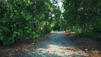 Empty footpath in park at summer photo
