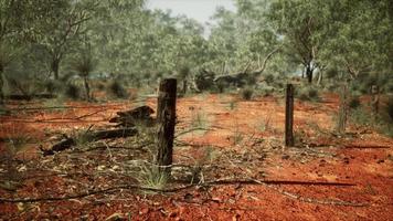 Dingoe fence in the Australian Outback photo