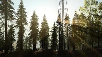 típica turbina de molino de viento en el bosque al atardecer foto