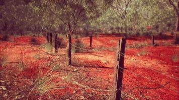 Dingoe fence in the Australian Outback photo