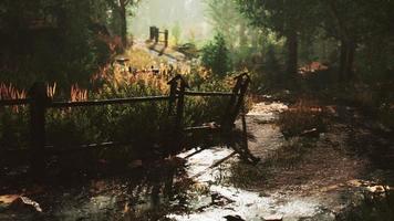 Landscape with wooden fence grassy meadow and path photo