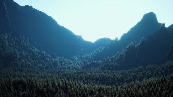 Mountain forest landscape under evening sky photo