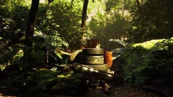 vertedero de basura en el bosque foto