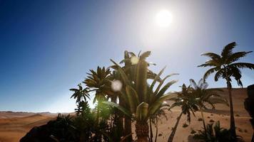 Erg Chebbi Dunes in the Sahara Desert photo