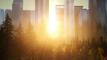 Forest hillside and city landscape photo