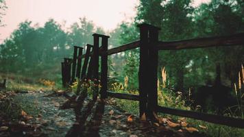 old wooden fence and dirt road in the countryside at summer season photo